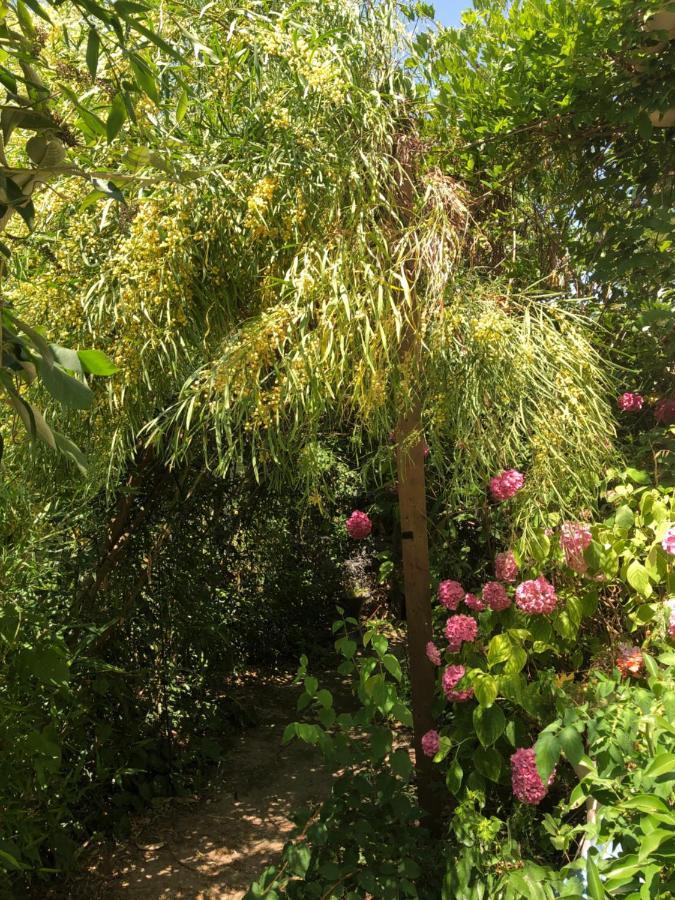 مبيت وإفطار L'Ile-d'Olonne L Atypique المظهر الخارجي الصورة